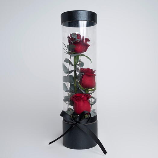 Roses And Eucalyptus-1445