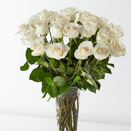 -White roses in vase