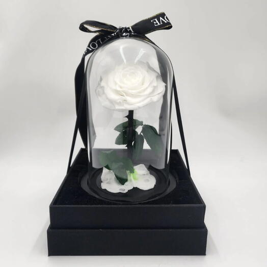Rosa Eterna Blanca - Rosa en Campana de Cristal