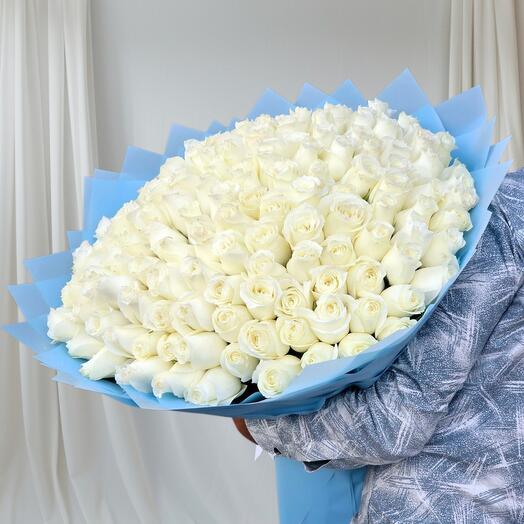 151 blanco con envoltura azul claro