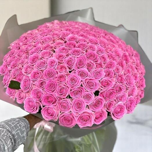 Букет Hama из 99 тёмно-розовых роз – роскошная большая композиция в серебристой упаковке