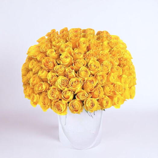 Jaune Soleil Sérénade Petite