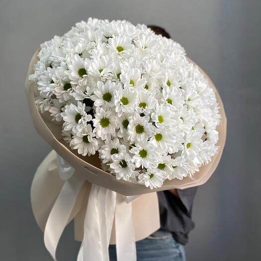 100 ромашковых дней