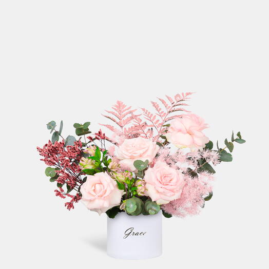 Flamant rose dans une petite boîte