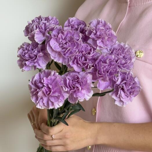 Lilac carnation (10 pcs)