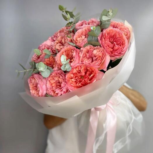 Pink expresion garden rose