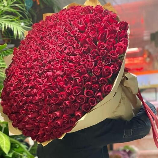 500 Premium Red Roses XXXL Luxury Bouquet