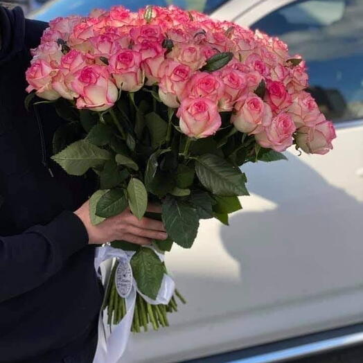 Premium 51 Pink Roses Bouquet without Wrapping