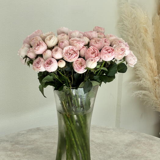 Mansfield peonies rose