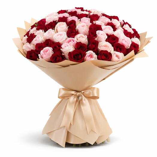 101 Red   Pink Roses – Blush Ember