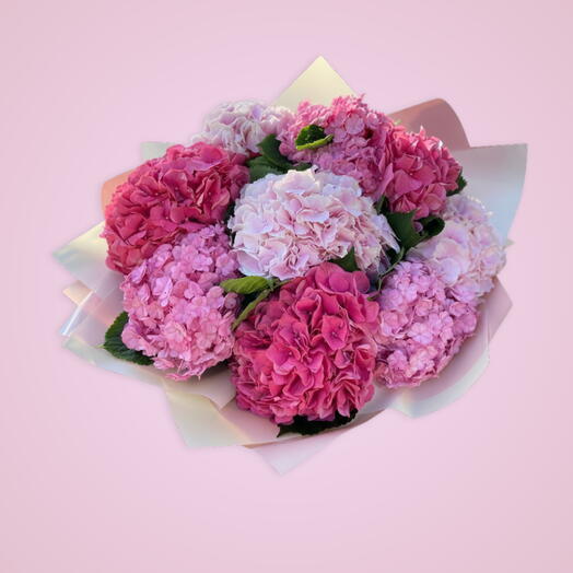 Thank you: 7 Hydrangea mix