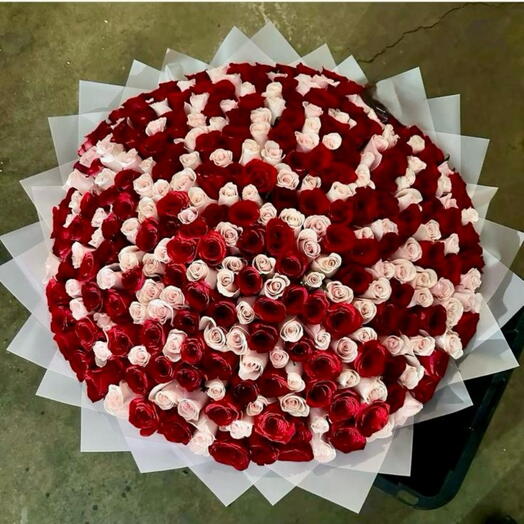 200 Red and  White Roses Luxury XXL Bouquet