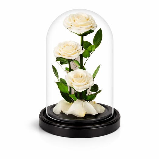 3 White forever Rose