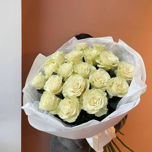 Rosa Mandial (clase premium, blanca 21 piezas)