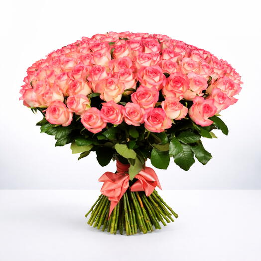 101 роза Джумелеа