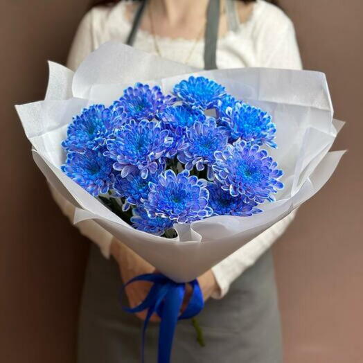 Blue Chrysanthemum - 1836