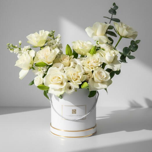 Коробка чистоты