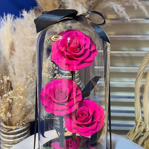 Forever Rose Fuschia Pink