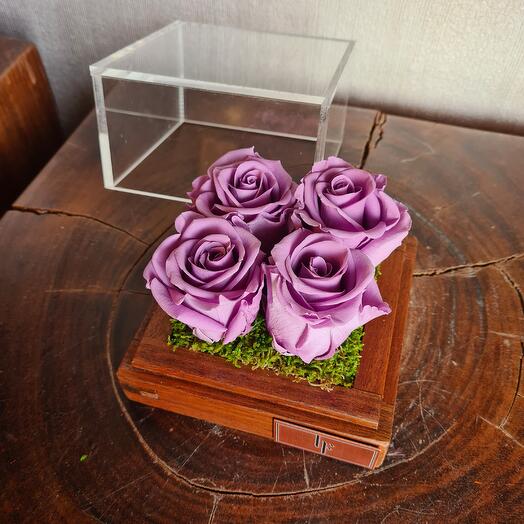 Фиолетовый Инфинити Кватро