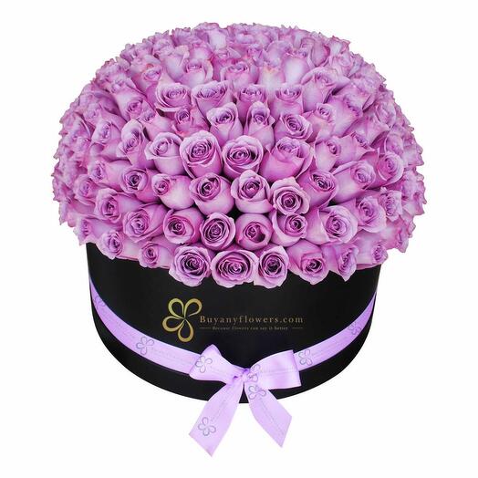 Lovely Purple Rose Arrangement