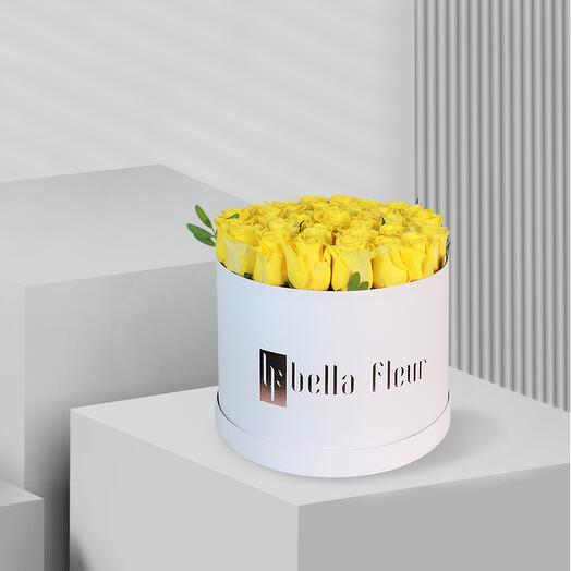 Sandaya Bella Box - Grande