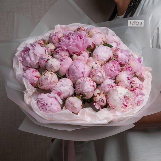 Pink Peony Paradise -1626