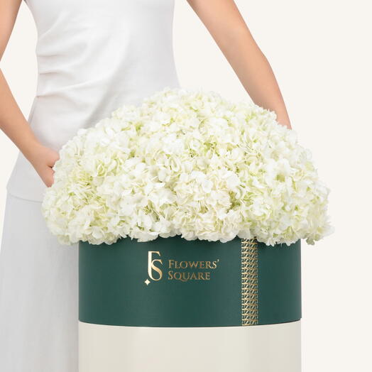 Коробка с белой гортензией экстра большая
