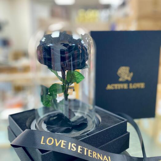 Single Black Forever Rose