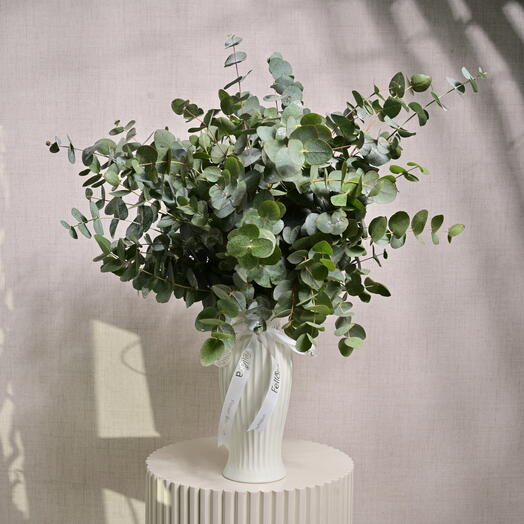 Свежие зеленые листья эвкалипта в белом керамическом горшке 6563