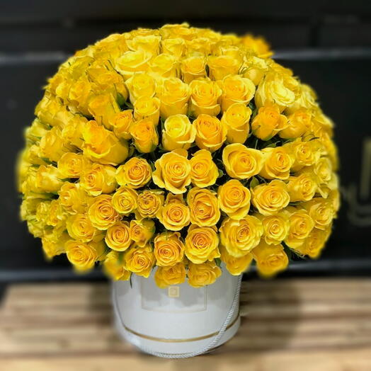 Sunlight Yellow Serenade Box