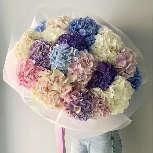 Hydrangea Dream