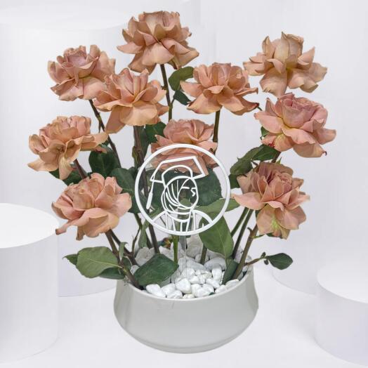 Graduate s Gentle Bloom