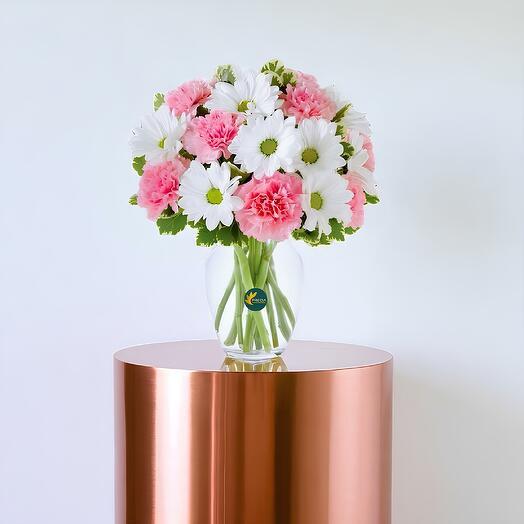 Pastel Daisy   Rose Delight