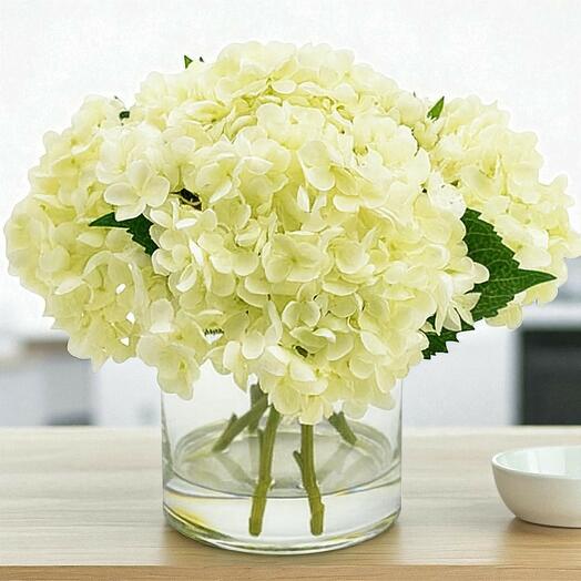 Белая гортензия в вазе