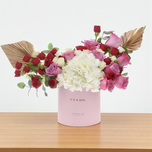 The Oasis It s a Girl Box