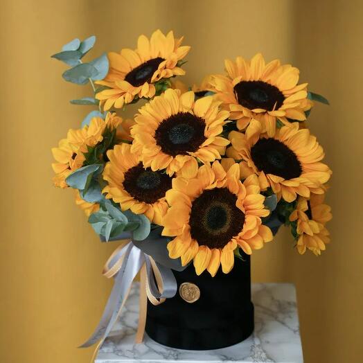 Чёрное солнце