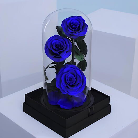 Полуночная душа