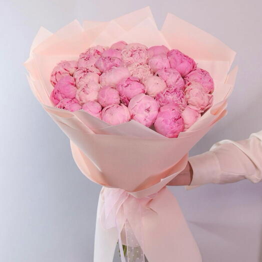 زهور الفاوانيا الوردية - 29 زهرة فاوانيا وردية