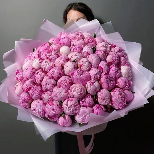 Pione (101 صورة)