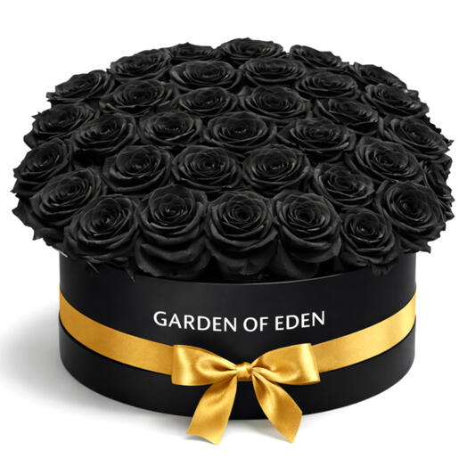 Heart- Echo Black Roses 41