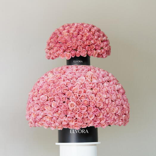 1000 розовых роз Полуночный Купол