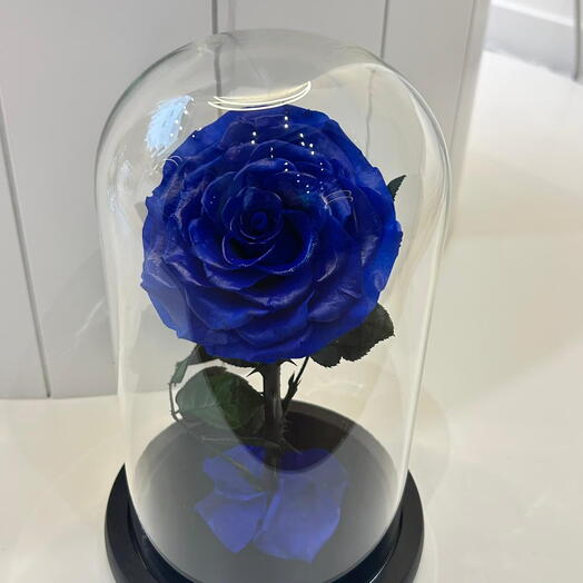 وردة زرقاء خالدة في قبة زجاجية