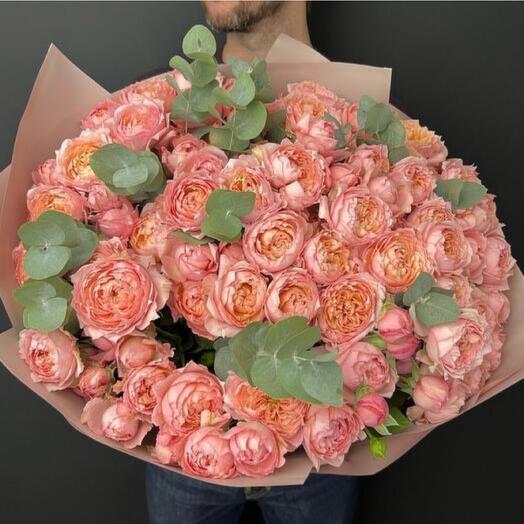 21 Julietta Pink Garden Rose - 673