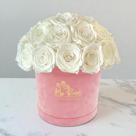 Розовая бархатная коробка с 36 белыми розами