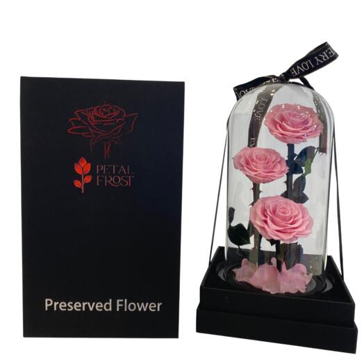 Preserved 3 Pink Rose