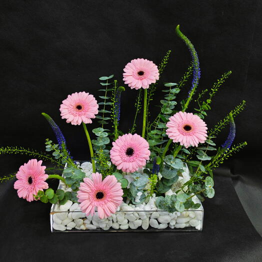 Pink Gerebra Acrylic Tray Arrangement