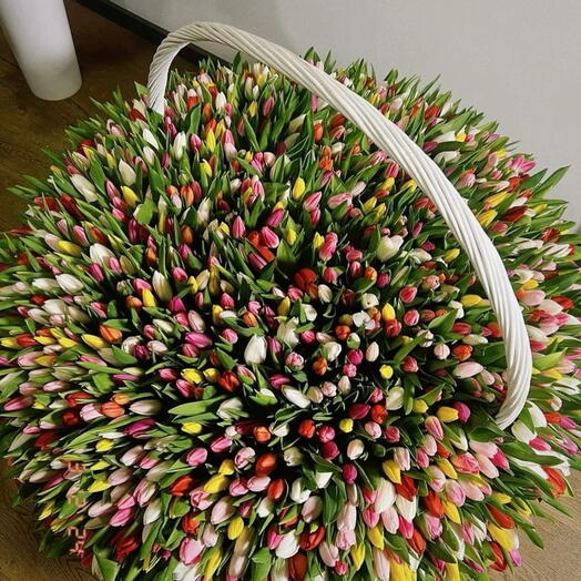 Tulip in the basket (1001pis)