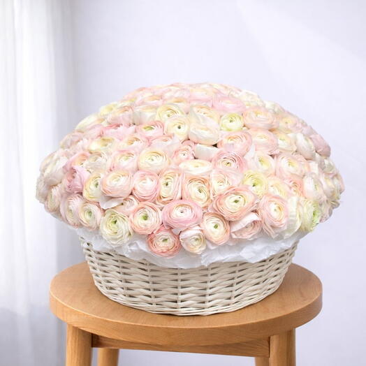 Royal Ranúnculo 200