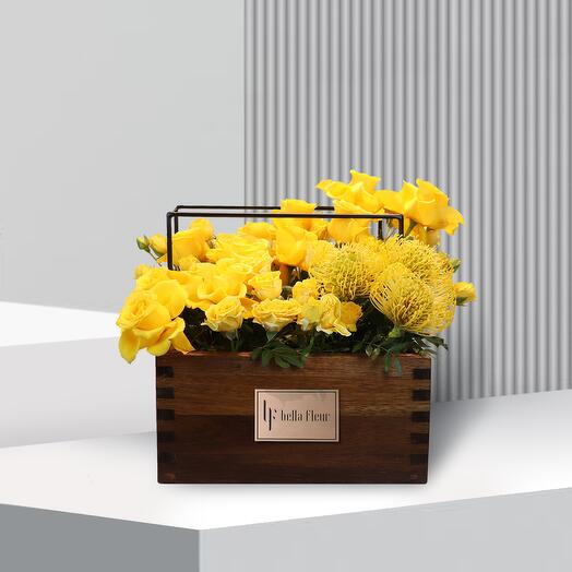 Sol Lakewood - Medium