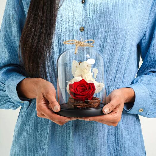 Красная вечная роза в стеклянном колпаке
